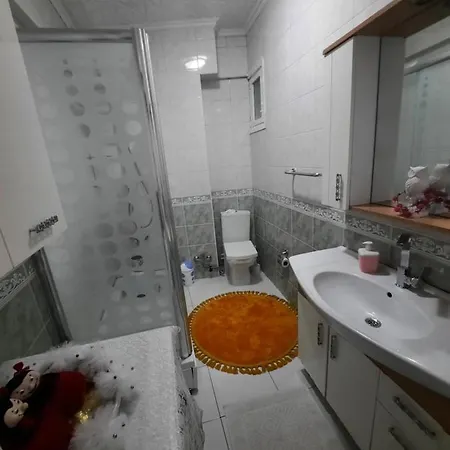 Taksimde Deniz Ve Marti Esliginde Uyanmak Istanboel