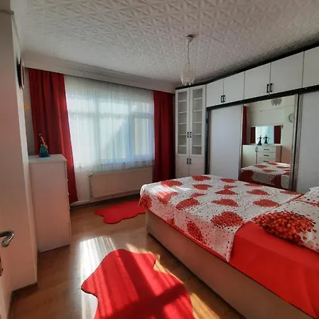 Taksimde Deniz Ve Marti Esliginde Uyanmak