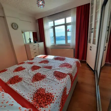 Taksimde Deniz Ve Marti Esliginde Uyanmak