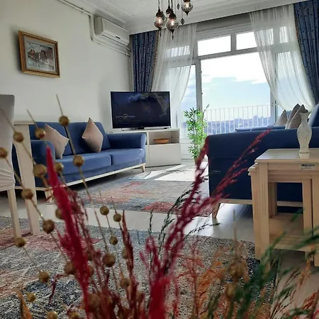 Taksimde Deniz Ve Marti Esliginde Uyanmak